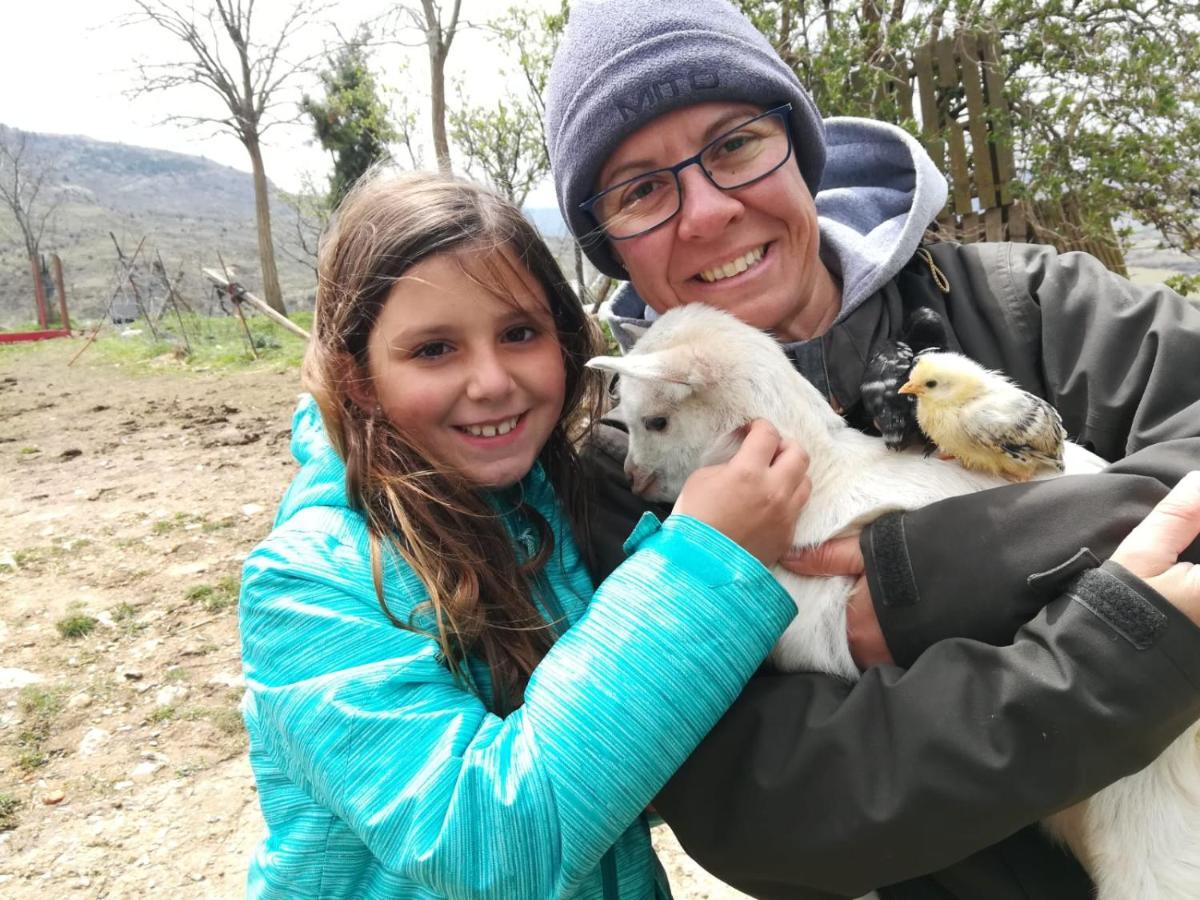Casa Rural Amador Villarroya de los Pinares Dış mekan fotoğraf