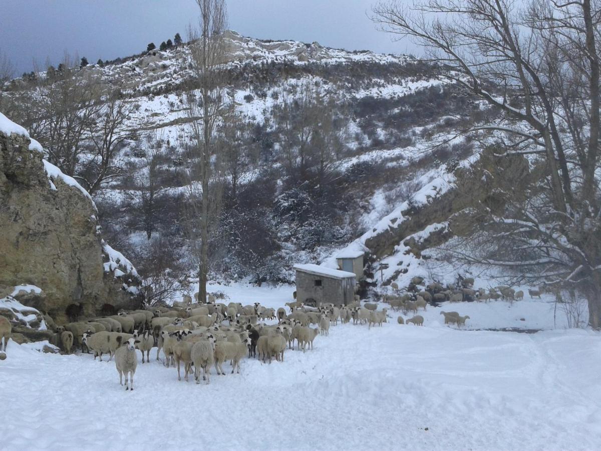 Casa Rural Amador Villarroya de los Pinares Dış mekan fotoğraf