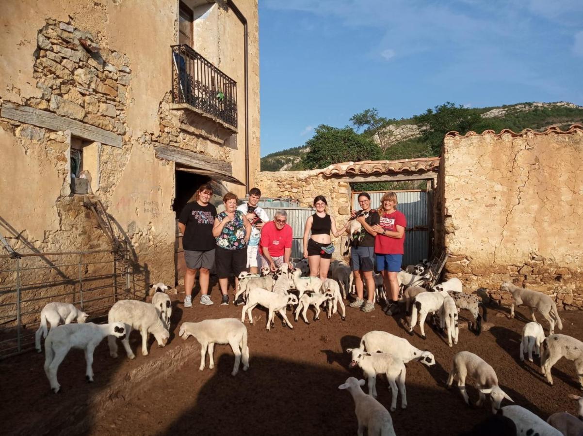 Casa Rural Amador Villarroya de los Pinares Dış mekan fotoğraf